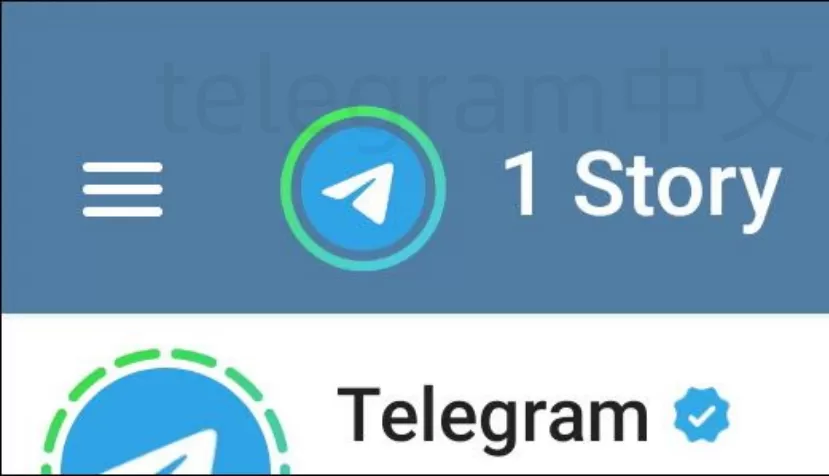 如何使用Telegram中文版语音与视频通话功能? 二